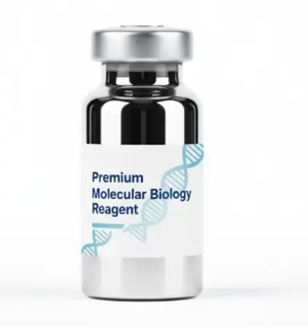Recombinant Human Phosphomannomutase 2